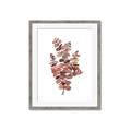 Picture of Pink Color Eucalyptus II _GroupedProduct_Rectangle_Portrait_Framed_Matted_