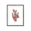 Picture of Pink Color Eucalyptus II _GroupedProduct_Rectangle_Portrait_Framed_Matted_