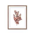 Picture of Pink Color Eucalyptus II _GroupedProduct_Rectangle_Portrait_Framed_Matted_