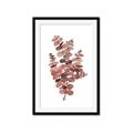 Picture of Pink Color Eucalyptus II _GroupedProduct_Rectangle_Portrait_Framed_Matted_