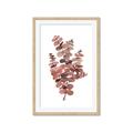 Picture of Pink Color Eucalyptus II _GroupedProduct_Rectangle_Portrait_Framed_Matted_