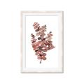 Picture of Pink Color Eucalyptus II _GroupedProduct_Rectangle_Portrait_Framed_Matted_