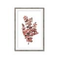 Picture of Pink Color Eucalyptus II _GroupedProduct_Rectangle_Portrait_Framed_Matted_