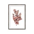 Picture of Pink Color Eucalyptus II _GroupedProduct_Rectangle_Portrait_Framed_Matted_