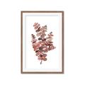 Picture of Pink Color Eucalyptus II _GroupedProduct_Rectangle_Portrait_Framed_Matted_
