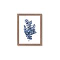 Picture of Blue Color Eucalyptus II  _GroupedProduct_Rectangle_Portrait_Framed_Matted_