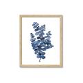 Picture of Blue Color Eucalyptus II  _GroupedProduct_Rectangle_Portrait_Framed_Matted_