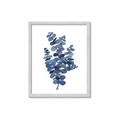 Picture of Blue Color Eucalyptus II  _GroupedProduct_Rectangle_Portrait_Framed_Matted_