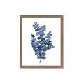 Picture of Blue Color Eucalyptus II  _GroupedProduct_Rectangle_Portrait_Framed_Matted_