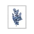 Picture of Blue Color Eucalyptus II  _GroupedProduct_Rectangle_Portrait_Framed_Matted_