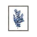 Picture of Blue Color Eucalyptus II  _GroupedProduct_Rectangle_Portrait_Framed_Matted_