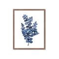Picture of Blue Color Eucalyptus II  _GroupedProduct_Rectangle_Portrait_Framed_Matted_