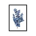 Picture of Blue Color Eucalyptus II  _GroupedProduct_Rectangle_Portrait_Framed_Matted_