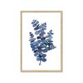 Picture of Blue Color Eucalyptus II  _GroupedProduct_Rectangle_Portrait_Framed_Matted_