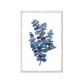 Picture of Blue Color Eucalyptus II  _GroupedProduct_Rectangle_Portrait_Framed_Matted_