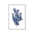 Picture of Blue Color Eucalyptus II  _GroupedProduct_Rectangle_Portrait_Framed_Matted_