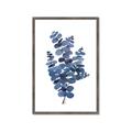 Picture of Blue Color Eucalyptus II  _GroupedProduct_Rectangle_Portrait_Framed_Matted_