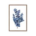 Picture of Blue Color Eucalyptus II  _GroupedProduct_Rectangle_Portrait_Framed_Matted_