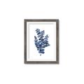Picture of Blue Color Eucalyptus II  _GroupedProduct_Rectangle_Portrait_Framed_Matted_