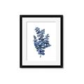 Picture of Blue Color Eucalyptus II  _GroupedProduct_Rectangle_Portrait_Framed_Matted_