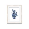 Picture of Blue Color Eucalyptus II  _GroupedProduct_Rectangle_Portrait_Framed_Matted_