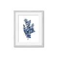 Picture of Blue Color Eucalyptus II  _GroupedProduct_Rectangle_Portrait_Framed_Matted_