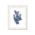 Picture of Blue Color Eucalyptus II  _GroupedProduct_Rectangle_Portrait_Framed_Matted_
