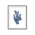 Picture of Blue Color Eucalyptus II  _GroupedProduct_Rectangle_Portrait_Framed_Matted_
