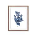Picture of Blue Color Eucalyptus II  _GroupedProduct_Rectangle_Portrait_Framed_Matted_