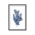 Picture of Blue Color Eucalyptus II  _GroupedProduct_Rectangle_Portrait_Framed_Matted_