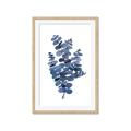 Picture of Blue Color Eucalyptus II  _GroupedProduct_Rectangle_Portrait_Framed_Matted_