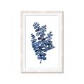 Picture of Blue Color Eucalyptus II  _GroupedProduct_Rectangle_Portrait_Framed_Matted_