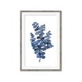 Picture of Blue Color Eucalyptus II  _GroupedProduct_Rectangle_Portrait_Framed_Matted_