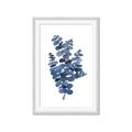 Picture of Blue Color Eucalyptus II  _GroupedProduct_Rectangle_Portrait_Framed_Matted_
