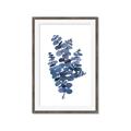 Picture of Blue Color Eucalyptus II  _GroupedProduct_Rectangle_Portrait_Framed_Matted_