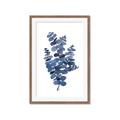 Picture of Blue Color Eucalyptus II  _GroupedProduct_Rectangle_Portrait_Framed_Matted_