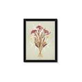 Picture of Dried Flowers with Outline I _GroupedProduct_Rectangle_Portrait_Framed_Matted_
