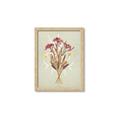 Picture of Dried Flowers with Outline I _GroupedProduct_Rectangle_Portrait_Framed_Matted_