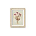 Picture of Dried Flowers with Outline I _GroupedProduct_Rectangle_Portrait_Framed_Matted_