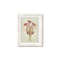 Picture of Dried Flowers with Outline I _GroupedProduct_Rectangle_Portrait_Framed_Matted_