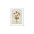 Picture of Dried Flowers with Outline I _GroupedProduct_Rectangle_Portrait_Framed_Matted_