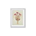 Picture of Dried Flowers with Outline I _GroupedProduct_Rectangle_Portrait_Framed_Matted_