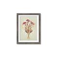 Picture of Dried Flowers with Outline I _GroupedProduct_Rectangle_Portrait_Framed_Matted_