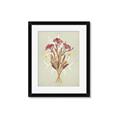 Picture of Dried Flowers with Outline I _GroupedProduct_Rectangle_Portrait_Framed_Matted_