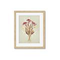 Picture of Dried Flowers with Outline I _GroupedProduct_Rectangle_Portrait_Framed_Matted_