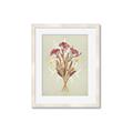 Picture of Dried Flowers with Outline I _GroupedProduct_Rectangle_Portrait_Framed_Matted_