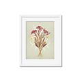 Picture of Dried Flowers with Outline I _GroupedProduct_Rectangle_Portrait_Framed_Matted_