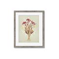 Picture of Dried Flowers with Outline I _GroupedProduct_Rectangle_Portrait_Framed_Matted_