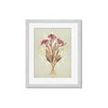 Picture of Dried Flowers with Outline I _GroupedProduct_Rectangle_Portrait_Framed_Matted_