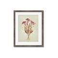 Picture of Dried Flowers with Outline I _GroupedProduct_Rectangle_Portrait_Framed_Matted_